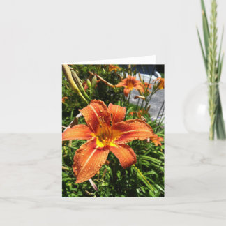 Daylily Notecards Kaart