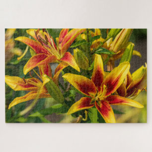 Daylily Oranje Canadese Bloemfotografie Legpuzzel