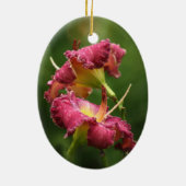 Daylily Ornament (Achterkant)