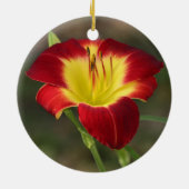 Daylily Ornament (Achterkant)