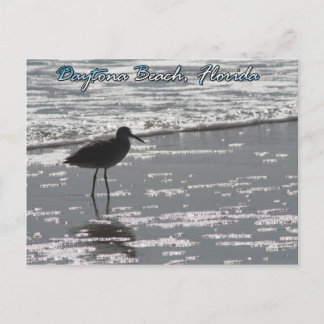 Daytona Beach Briefkaart