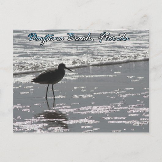 Daytona Beach Briefkaart (Voorkant)