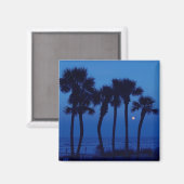 Daytona Beach FL Tropical Palm Tree Moon Magnets (Recto/Verso)