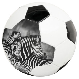 Dazzle de Zebra