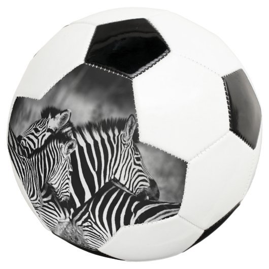 Dazzle de Zebra (3/4)