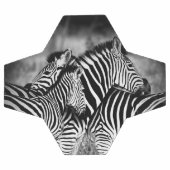 Dazzle de Zebra (Plat)