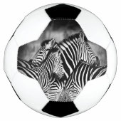 Dazzle de Zebra (Devant)