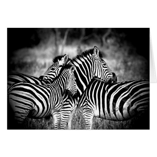 Dazzle of Zebra Penser à vous Personnalisé à l'int (Devant Horizontal)