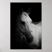 Dazzle Poster (Voorkant)