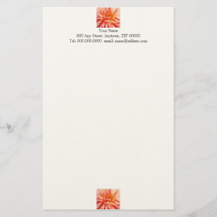 Dazzling Dahlia Flower Briefpapier