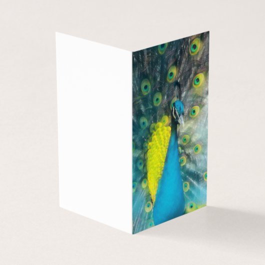 Dazzling Peacock - jeu de balises cadeau vierge (Outside)