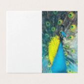 Dazzling Peacock - jeu de balises cadeau vierge (Outside Unfolded)