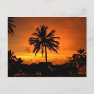 Dazzling Tropical Sunset Briefkaart