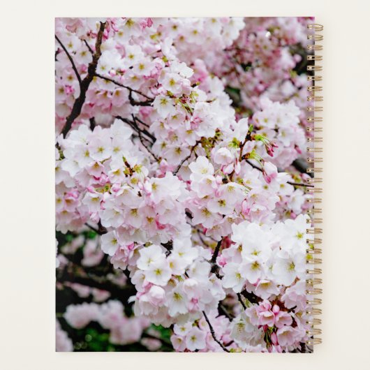 DC Cherry Blossom Planner (Achterkant)