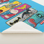 DC-liga van superpanelen Sherpa Deken (3/4)