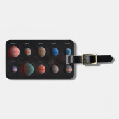 De 10 hete Jupiter Wasp exoplaneten Bagagelabel (Voorkant horizontaal)