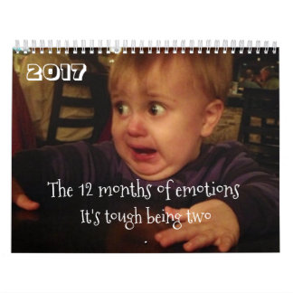 De 12 maanden van emoties-kleuterproblemen. FUNNY Kalender