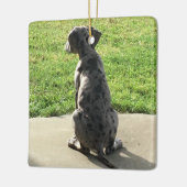 De 1ste X-Mas van de Grote Daan Keramisch Ornament (Links)