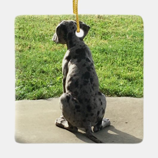 De 1ste X-Mas van de Grote Daan Keramisch Ornament (Voorkant)