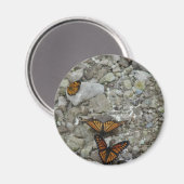 De 3 Butterflies Magneet (Voorkant / Achterkant)