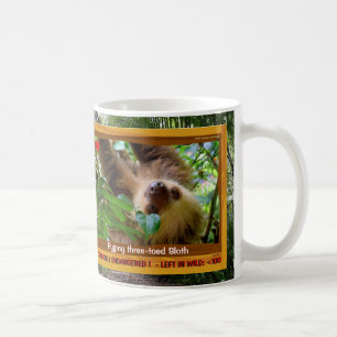 De 3-toed Sloth is bedreigd - Koffiemok