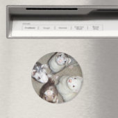 De 4 Musketeer fretten! Magneet (Insitu (Vaatwasser))