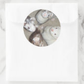 De 4 Musketeer fretten! Ronde Sticker (Tas)