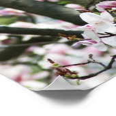 De 4 seizoenen - Poster van de lente (Hoek)