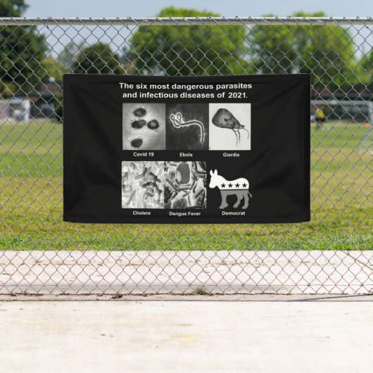 De 6 gevaarlijkste parasieten en besmettelijke zie spandoek (Insitu)