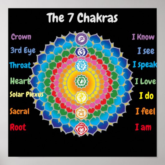 de 7 Chakras 12x12" Poster (Voorkant)