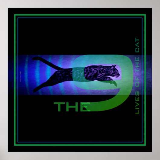 De 9 levens van het kat-Poster Poster (Voorkant)