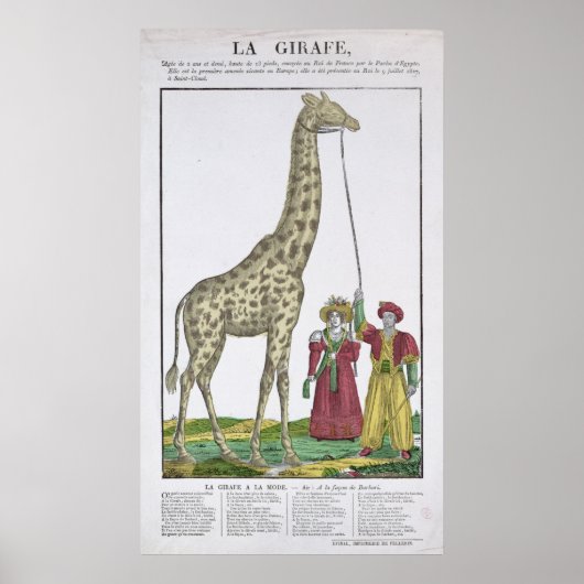 De aan de koning voorgelegde Giraffe Poster (Voorkant)
