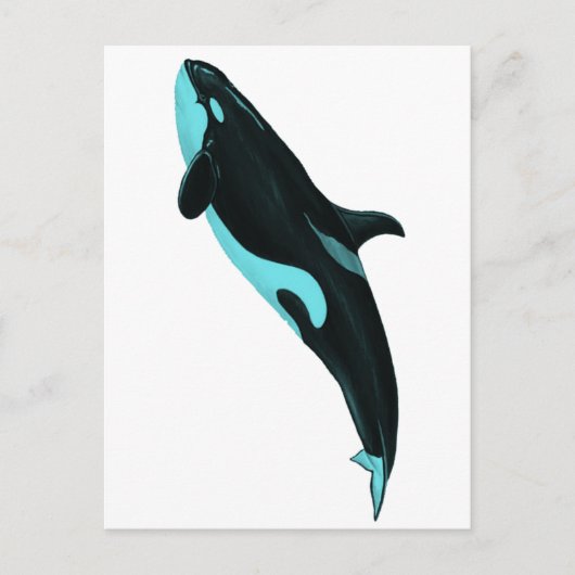 DE AANBESTEDENDE ORCA BRIEFKAART (Voorkant)