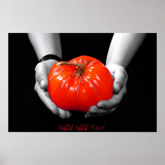 DE AANBIEDING IN ROOD POSTER (Voorkant)