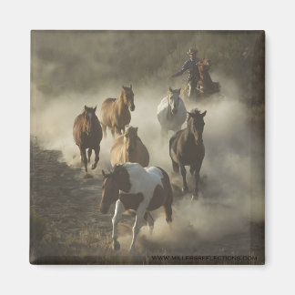 De aandrijfmagneet magneet