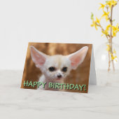 De aangepaste kaart van Fennec vos (Gele Bloem)