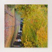 De aangepaste puzzle van Tracks Legpuzzel (Horizontaal)