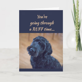 De aanmoediging wordt goed het Leuke Zwarte Kaart