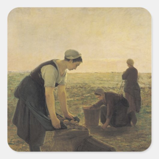 De aardappeloogst vierkante sticker (Voorkant)