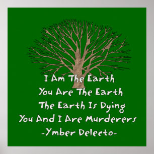 De aarde draait om poster