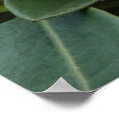 De Aarde is de lords ~Print~ Poster (Hoek)