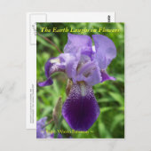 DE AARDE LAUGHES IN DE STROMEN - IRIS BRIEFKAART (Voorkant / Achterkant)