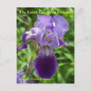 DE AARDE LAUGHES IN DE STROMEN - IRIS BRIEFKAART