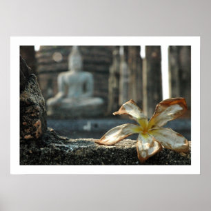 de aarde oproepen om te getuigen poster