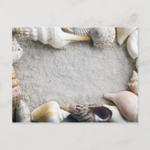 De Achtergrond van het Sand van Shell van het zee Briefkaart