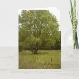 De ademende Kaart van de Zaal