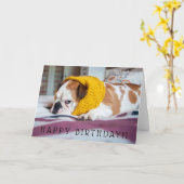 De Afbeeldingen van Getty | Engelse Buldog Kaart (Gele Bloem)