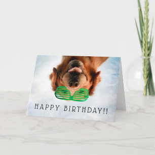 De Afbeeldingen van Getty   Hond met Glazen Kaart
