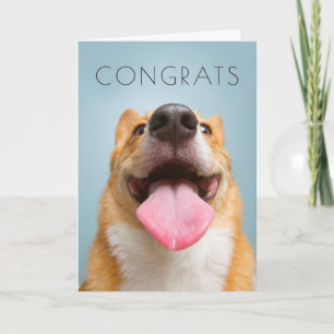 De Afbeeldingen van Getty   zeer Gelukkige Corgi Kaart