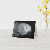 De Afrikaanse Grijze Kaart van de Nota (Gele Bloem)